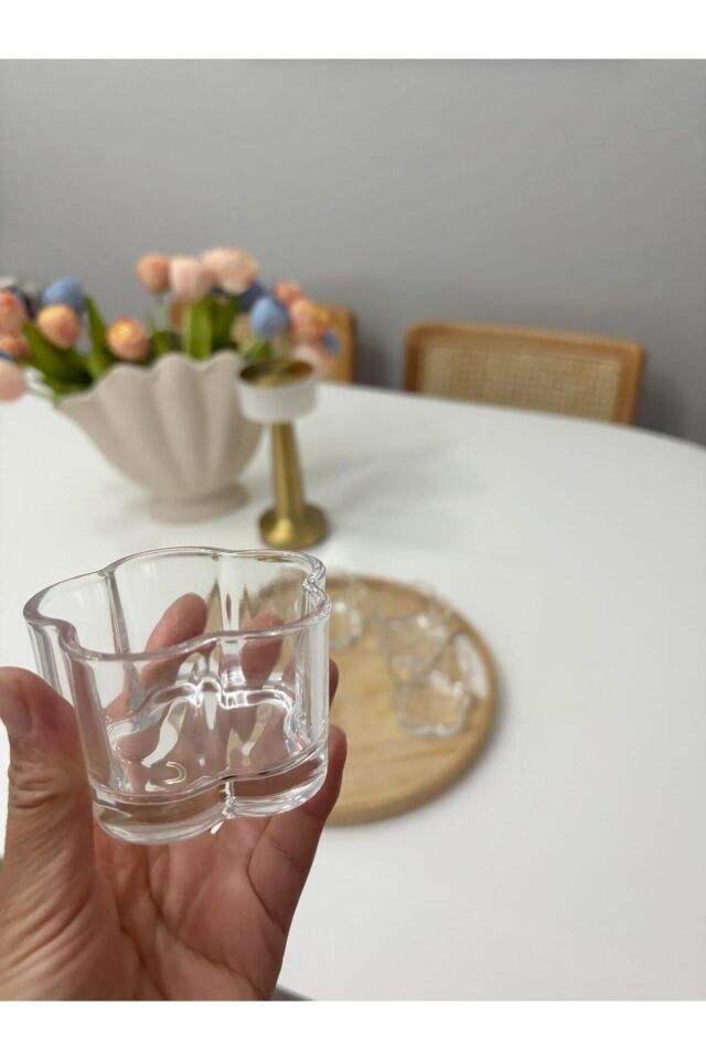 6 lı Cam Puding Tatlı Dondurma Kahvaltılık Kase Seti Çerezlik Magnolya Sunum Kasesi 120cc