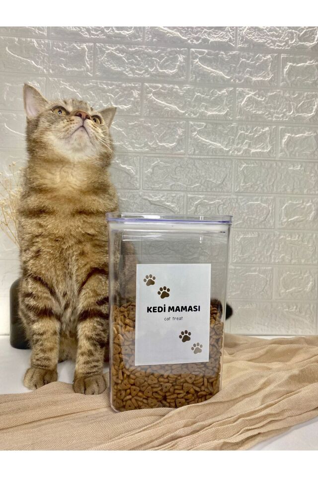 1 Adet 2900ml Vakum Kapaklı Akrilik Kedi Maması Saklama Kabı Düzenleyici Şeffaf